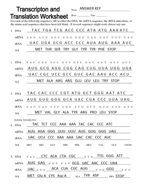 bozeman transcription and translation worksheet answers